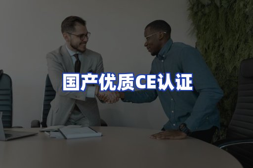 国产优质CE认证